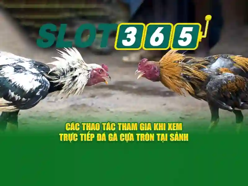 đăng nhập Slot365: Hướng dẫn an toàn và trải nghiệm tuyệt vời