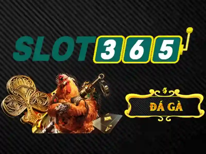 slot365 – Trải nghiệm cược trực tuyến đỉnh cao và câu chuyện thương hiệu