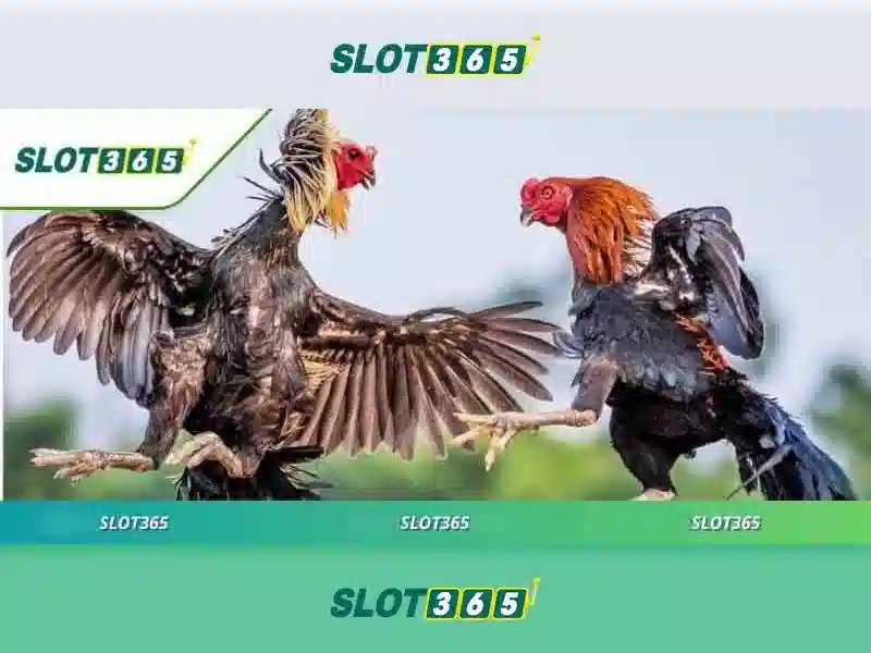 Slot365 - Nền tảng chơi game trực tuyến