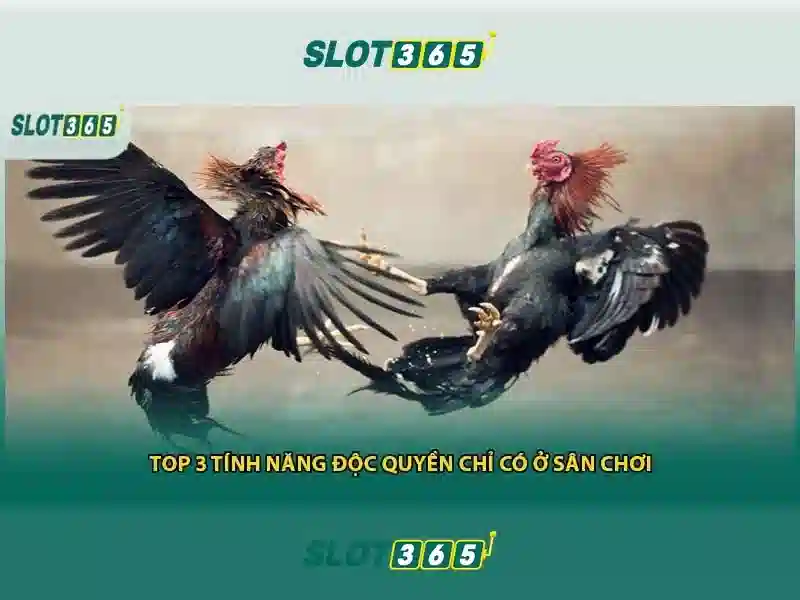 tải slot365 – Trải nghiệm giải trí trực tuyến đỉnh cao