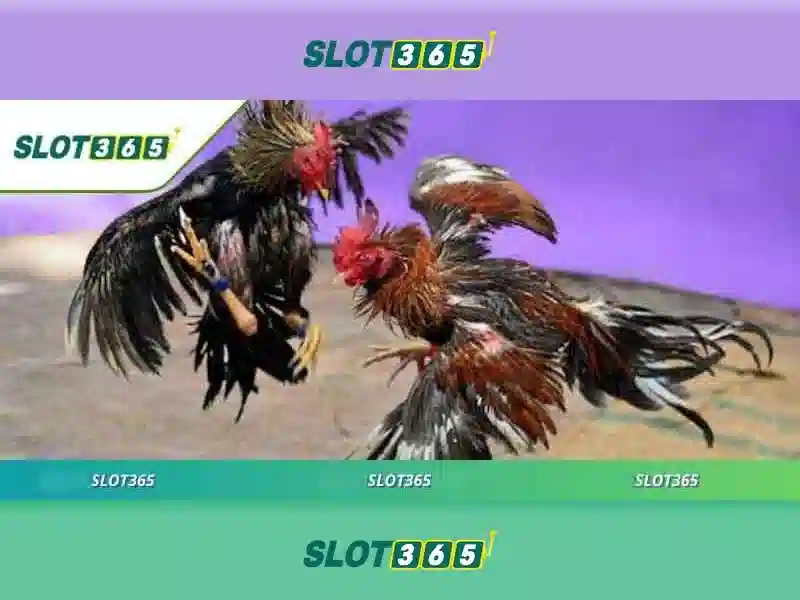 Slot365 - Trải nghiệm chơi slot trực tuyến tối ưu