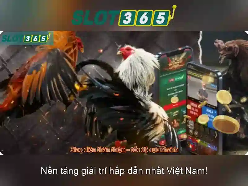 Slot365: Đánh giá nền tảng casino trực tuyến và trò chơi xèng