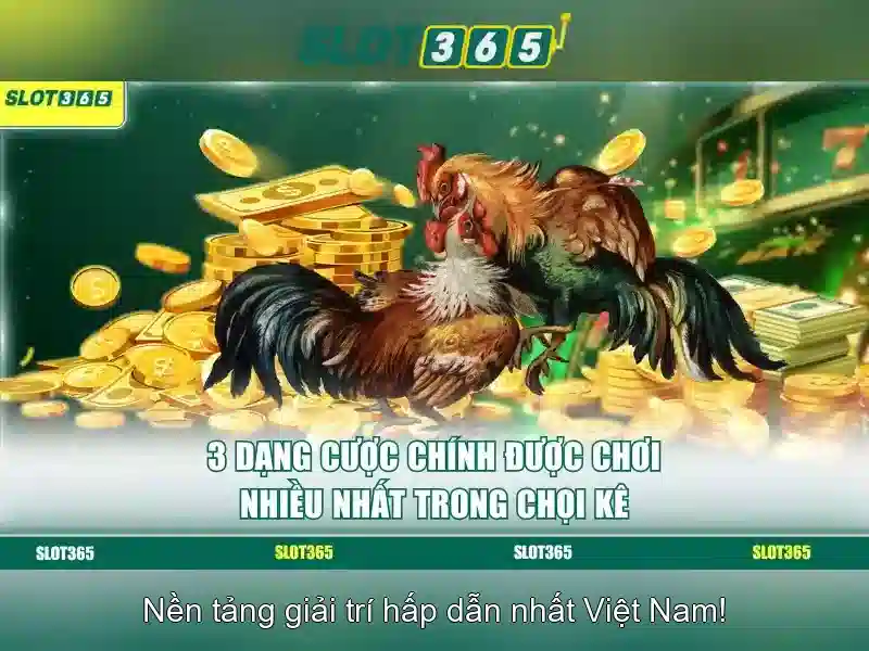 Slot365 - Đánh giá nền tảng casino trực tuyến hàng đầu