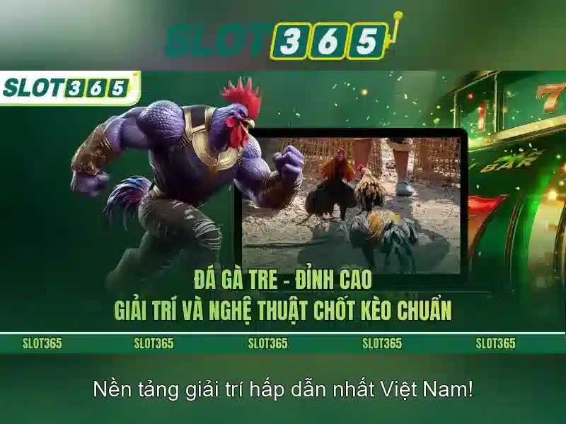 Slot365: Đánh giá và hướng dẫn chơi casino trực tuyến