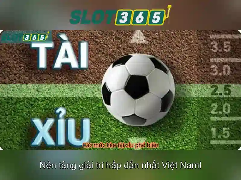Slot365 - Trải nghiệm chơi slot trực tuyến tại Việt Nam