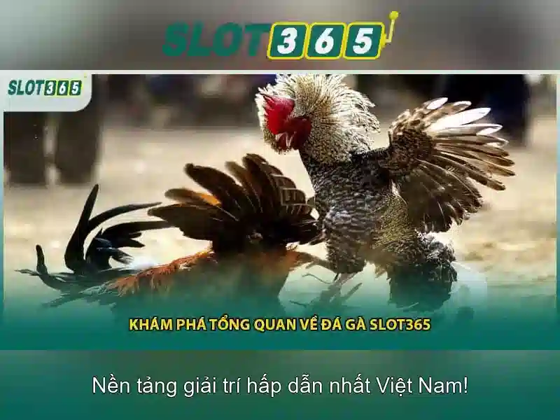 Slot365: Trải nghiệm sòng bạc trực tuyến đầy hứng khởi