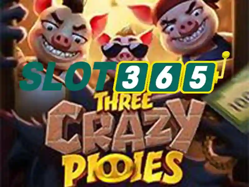 Slot365 - Noi giai tri voi tro choi may slots hang dau