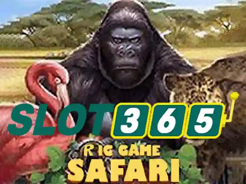 Slot365: Đánh giá nền tảng máy slot trực tuyến