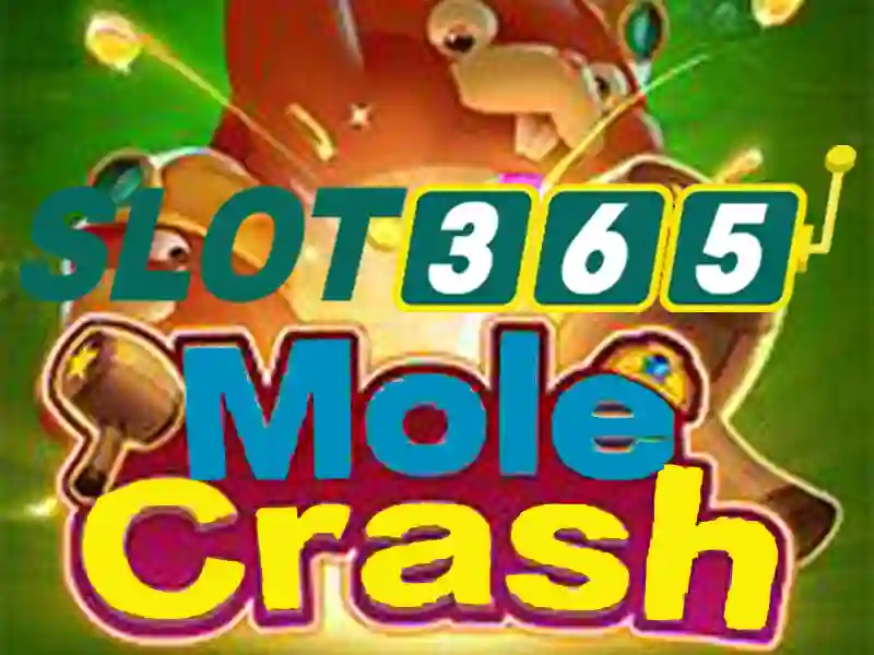 Slot365: Nền tảng trò chơi slot trực tuyến đáng tin cậy